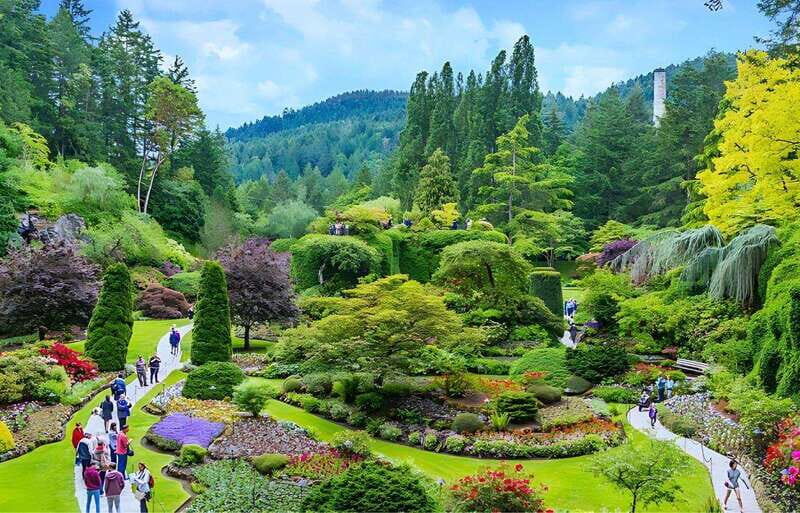 Day Trip from Vancouver to Victoria and Butchart Gardens - Value for Money
