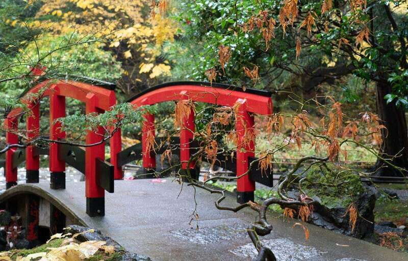 Day Trip from Vancouver to Victoria and Butchart Gardens - Final Thoughts