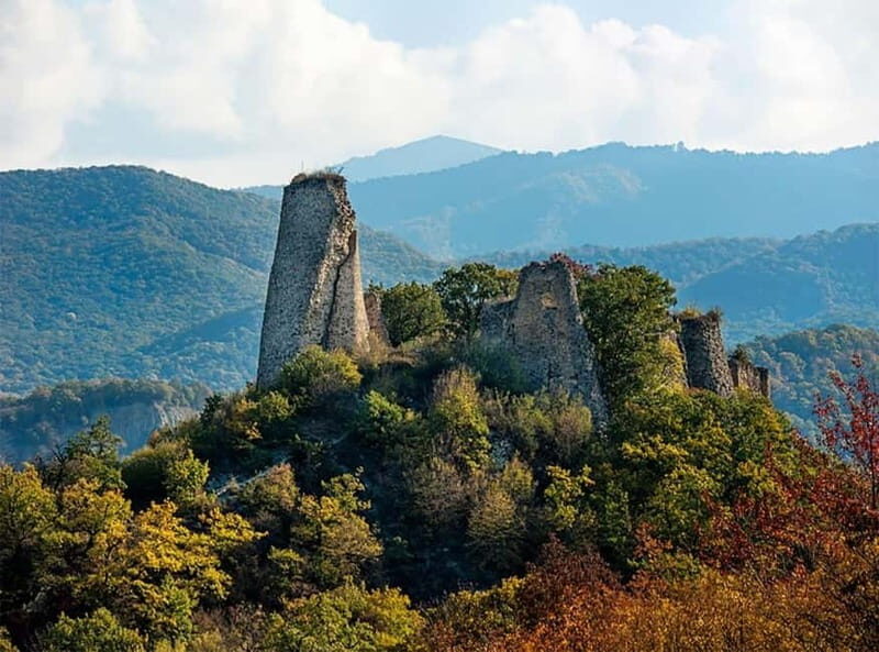 Day trip in Kakheti-Beauty and Love in a Glass Wine - Exploring the Charm of Kakheti in a Day
