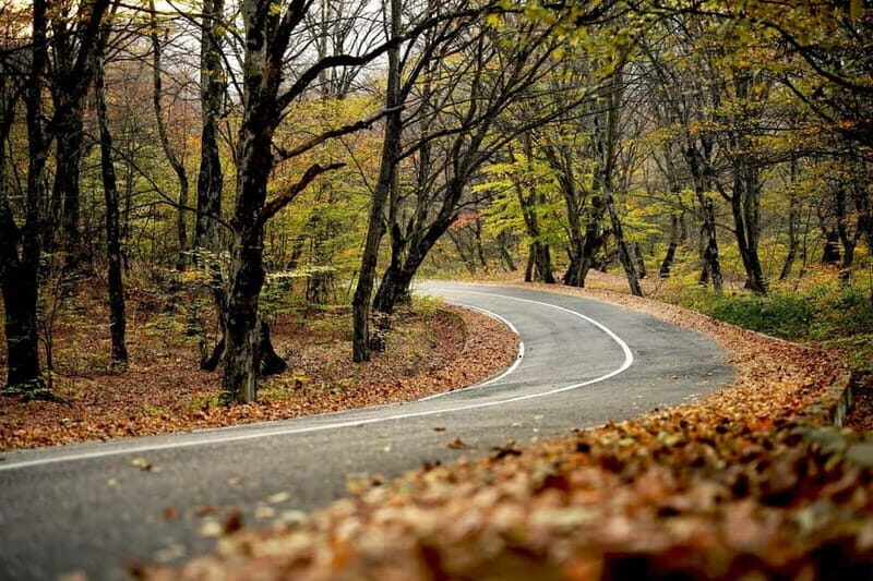 Day trip in Kakheti-Beauty and Love in a Glass Wine - Key Points
