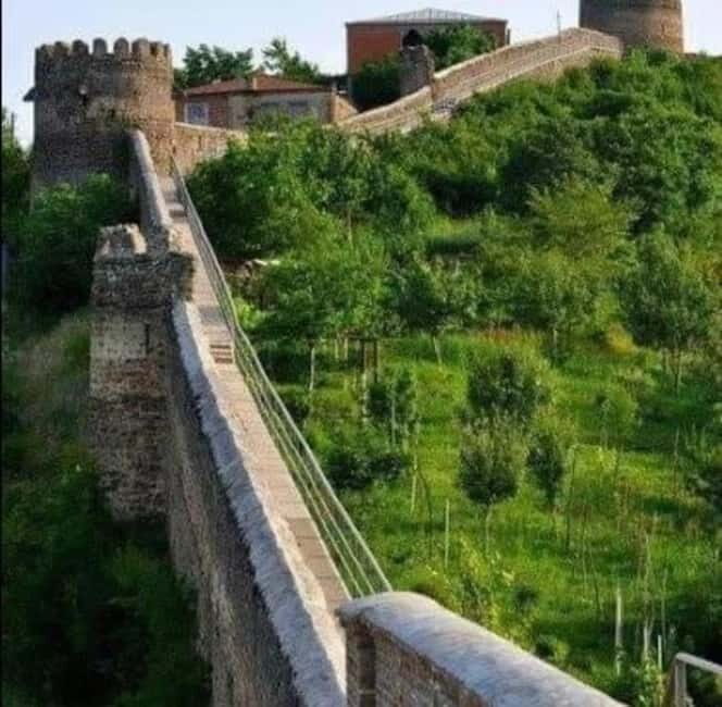 Day trip in Kakheti-Beauty and Love in a Glass Wine - Who Will Love This Tour?