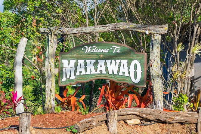 Day Trip Oahu to Maui Haleakala, Iao Valley & Central Maui - Customer Feedback