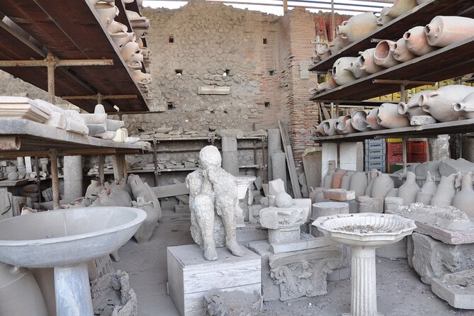 Day Trip of Pompeii, Sorrento and Positano From Naples - Inclusions and Exclusions
