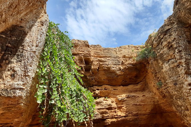 Day Trip off the Beaten Track to Cap Bon From Tunis or Hammamet - Unique Experiences