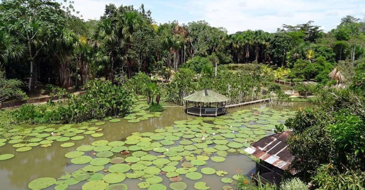 Day Trip on the Amazon River. - Wildlife Encounters