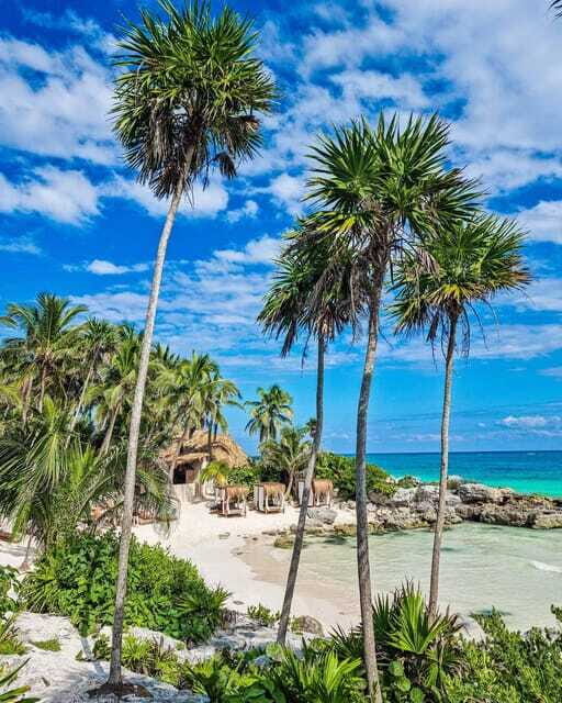 Day Trip Private Beach at Tulum - Why This Experience Might Be Perfect for You