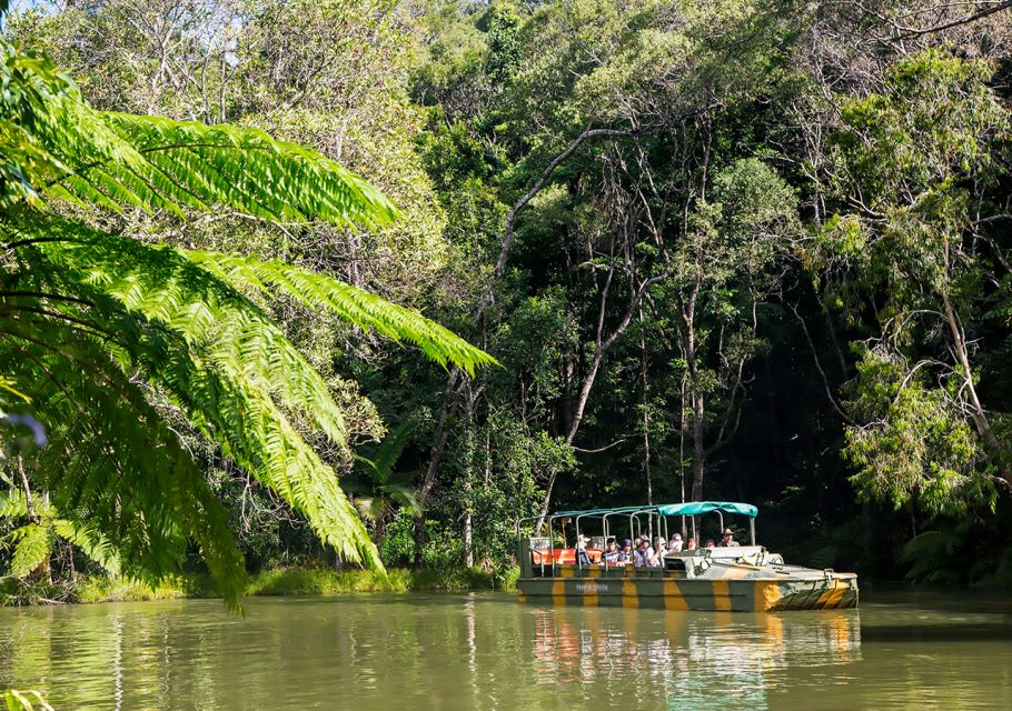 Day Trip: Rainforest & Aboriginal Culture Tour - Key Points