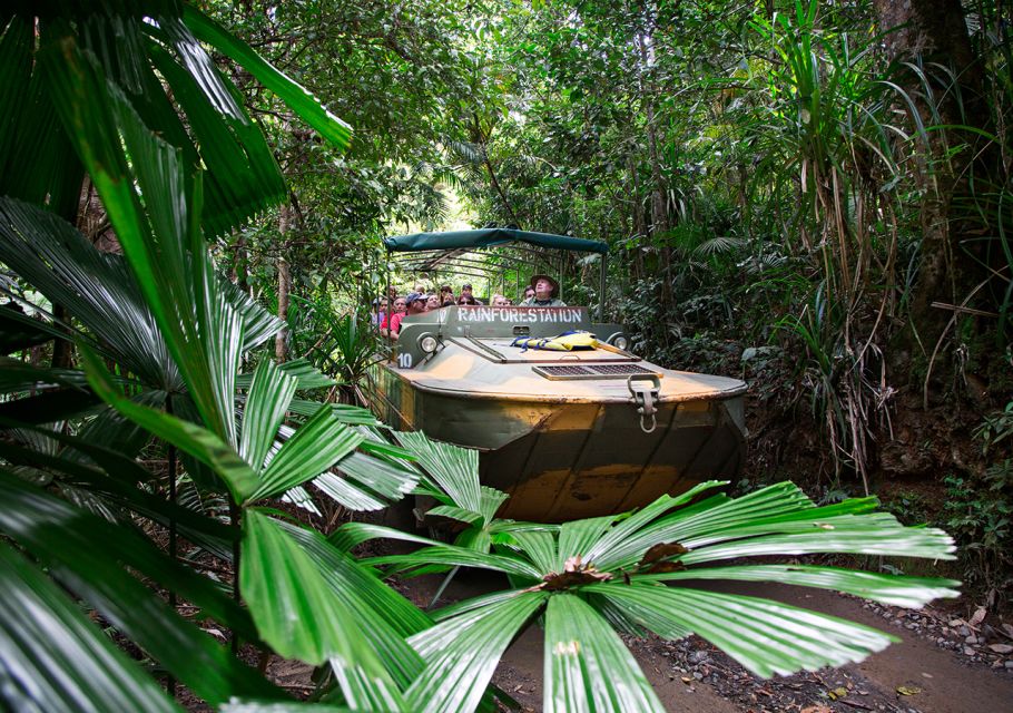 Day Trip: Rainforest & Aboriginal Culture Tour - Recap