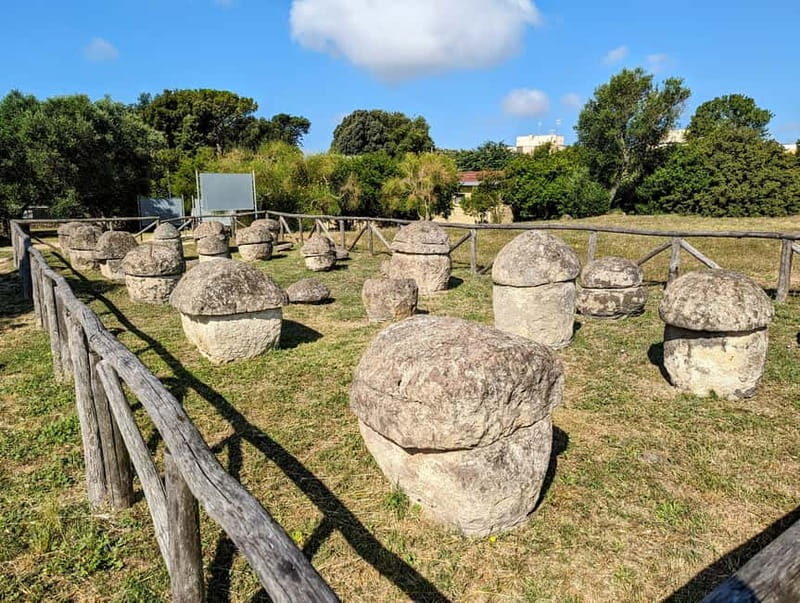Day trip Rome: Tarquinia and Cerveteri, Etruscan tour - FAQ