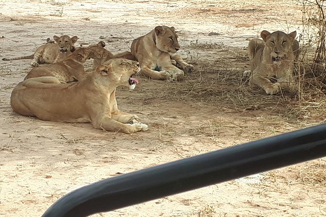Day Trip Tarangire - Accessibility and Considerations