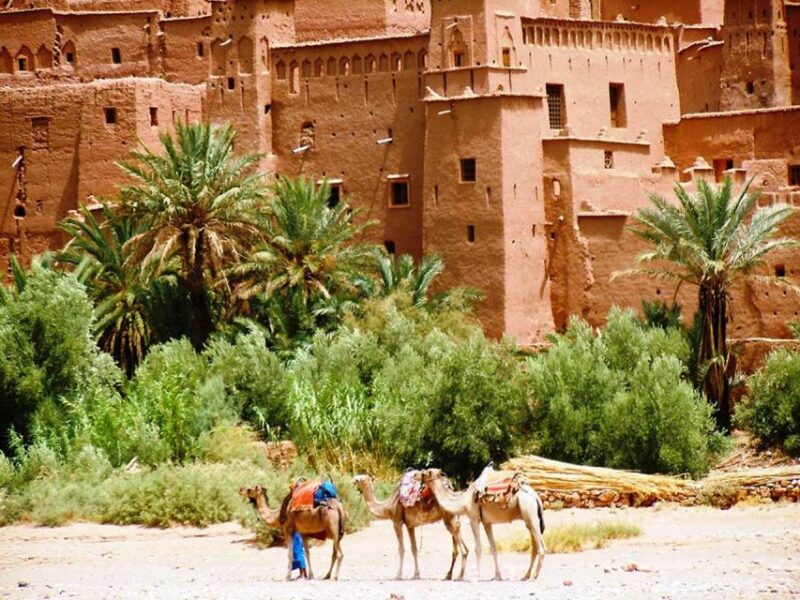 Day Trip to Ait Benhaddou and Ouarzazate - Exploring Ait Benhaddou
