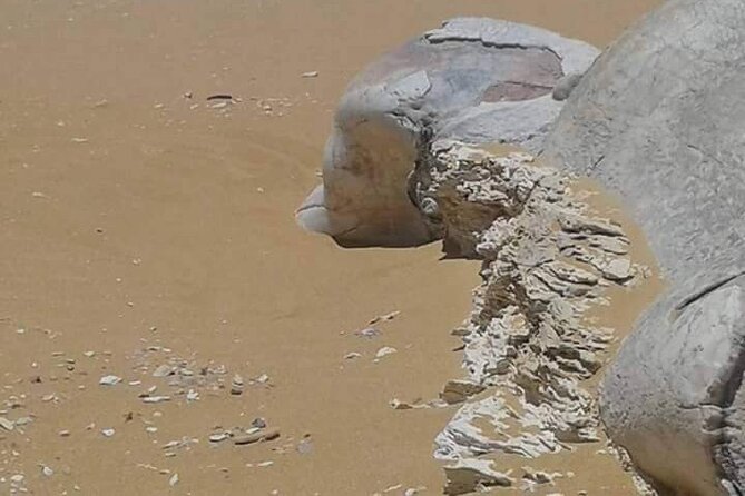 Day Trip To Bahariya Oasis Visit Black And White Desert From Cairo - Exploring the Black and White Deserts