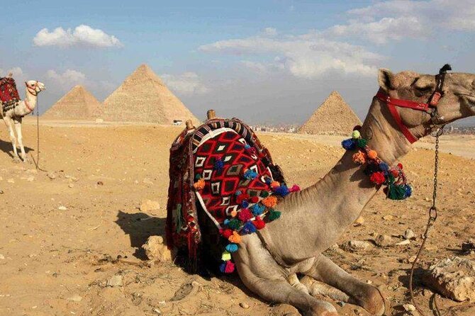 Day Trip to Cairo From Hurghada by Bus - Duration and Travel Time
