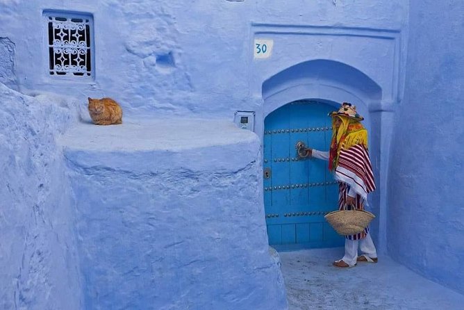 Day Trip To Chefchaouen City From Fez ( Private ) - Reviews and Ratings