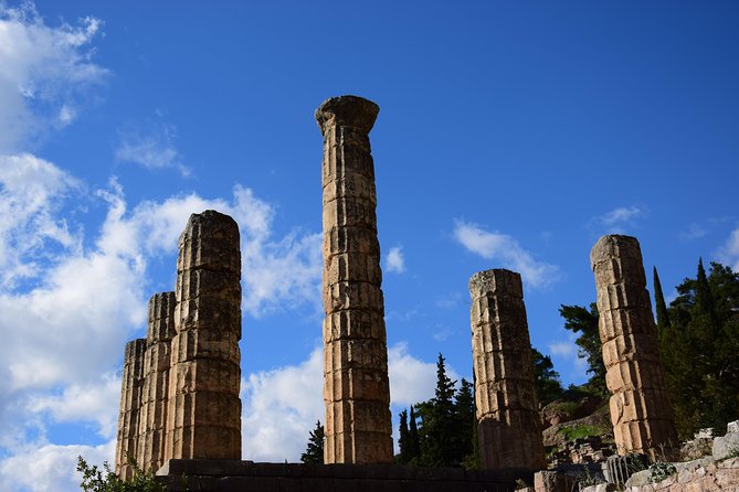 Day Trip to Delphi - Accessibility and Participation