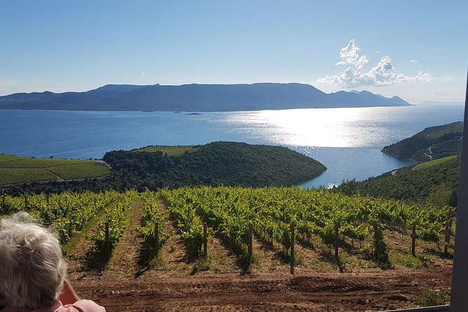 Day Trip to Dubrovnik From Split - Pricing and Reviews