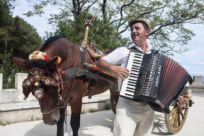 Day Trip to Erice, Scopello, Castellammare, Saline Reserve - FAQ