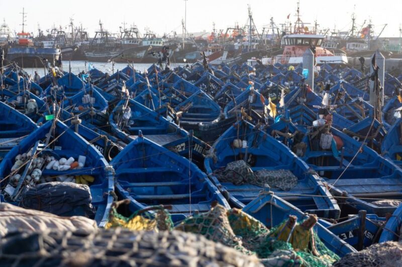 Day Trip To Essaouira From Marrakech - Good To Know