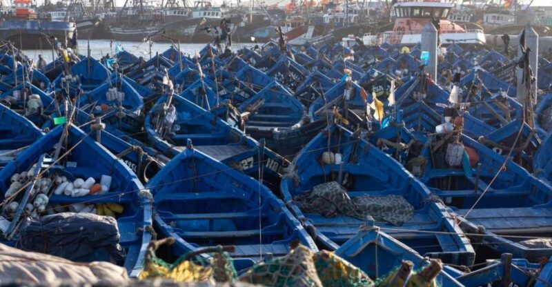 Day Trip To Essaouira From Marrakech - Scenic Route Highlights