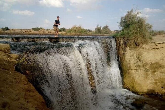 Day Trip to Fayoum From Cairo With Lunch - Lunch Experience Details