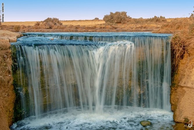 Day Trip to Fayoum From Cairo With Lunch - Tour Inclusions and Options