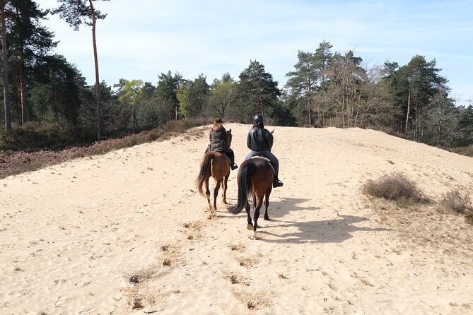 Day Trip to Fontainebleau : Horse Riding, Gastronomy and Castle - Transportation and Pickup Details