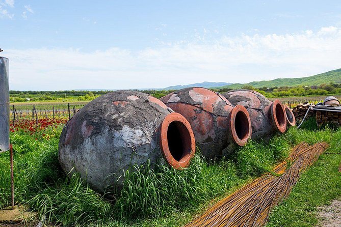 Day Trip to Garedja Caves, Sighnaghi Visit With Organic Wine Tasting and Lunch - Highlights of Garedja Caves