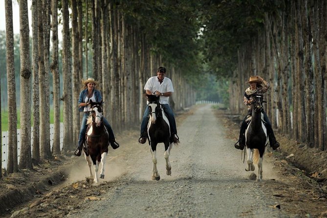 Day Trip to Hacienda La Danesa With Horseback Riding and Lunch - Good To Know