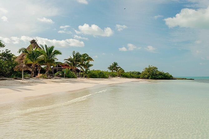 Day Trip to Isla Contoy - Lunch: Fresh Seafood and Local Flavors