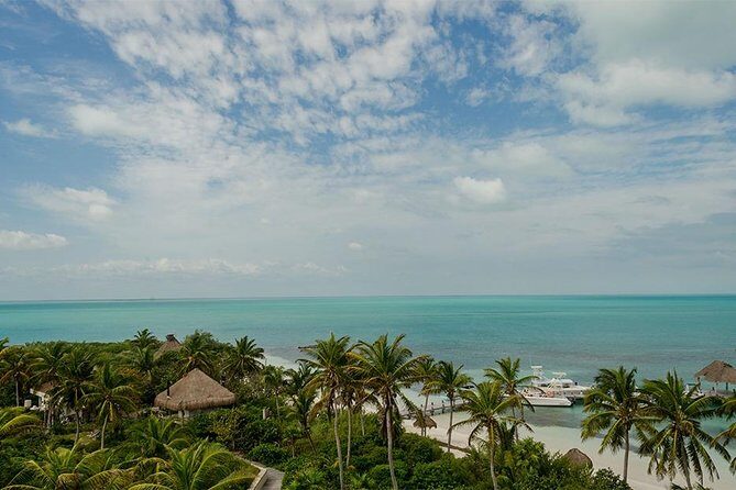 Day Trip to Isla Contoy - Isla Mujeres: A Brief Visit
