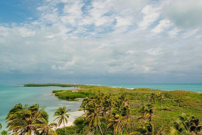 Day Trip to Isla Contoy - What Travelers Are Saying and Why It Matters