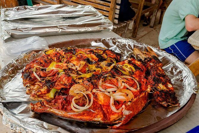 Day Trip to Isla Contoy - The Experience: What You Can Expect