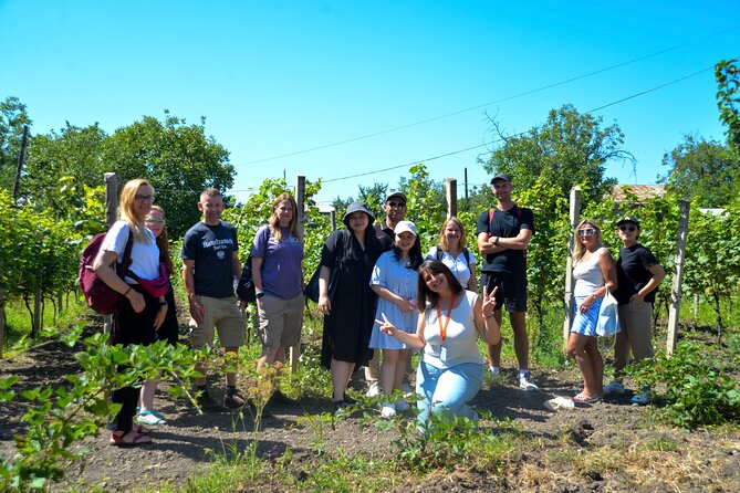 Day Trip to Kakheti Wine Region Including Seven Wine Tastings - Additional Info