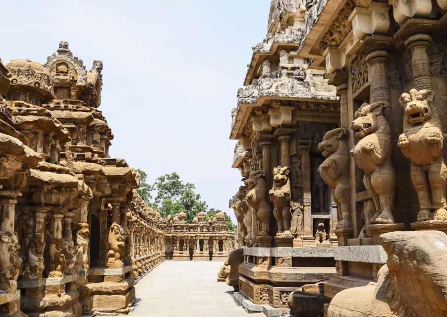 Day Trip to Kanchipuram (Guided Experience From Chennai) - Experience Highlights