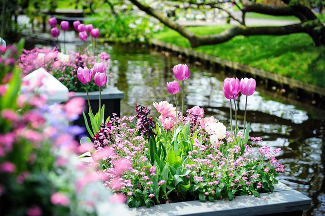 Day Trip to Keukenhof Gardens From Amsterdam With Tour Guide - Dress Code and Accessibility