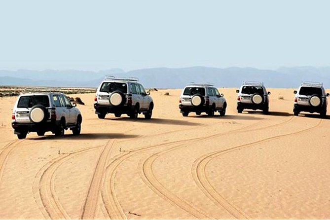 Day Trip to Mini Sahara - Key Points