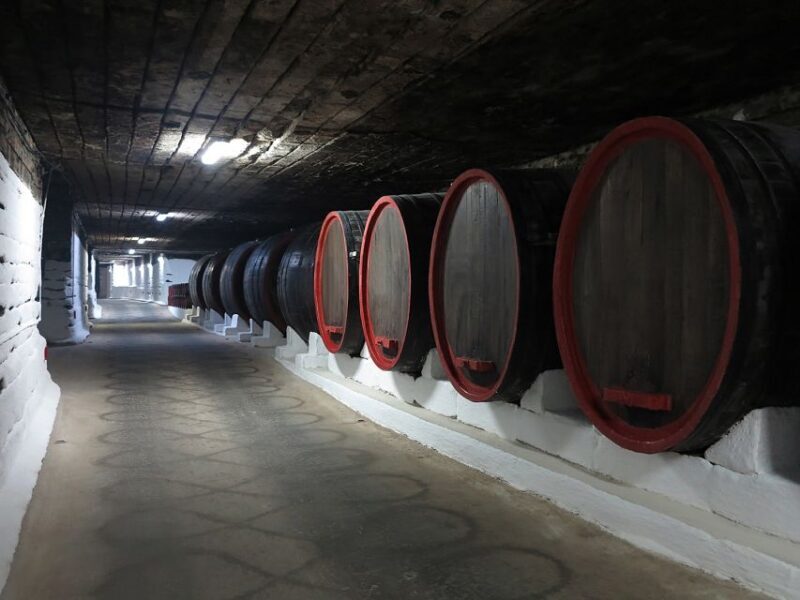 Day trip to Moldova - visit Chisinau and Cricova Winery - Who Will Enjoy This Tour?