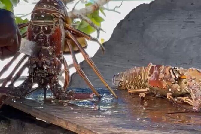 Day Trip to Negril from Montego Bay/Boat Ride to Booby Cay Island/Lobster Lunch - The Itinerary in Detail