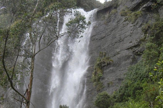 Day Trip to Nuwara Eliya From Kandy - Transportation Options
