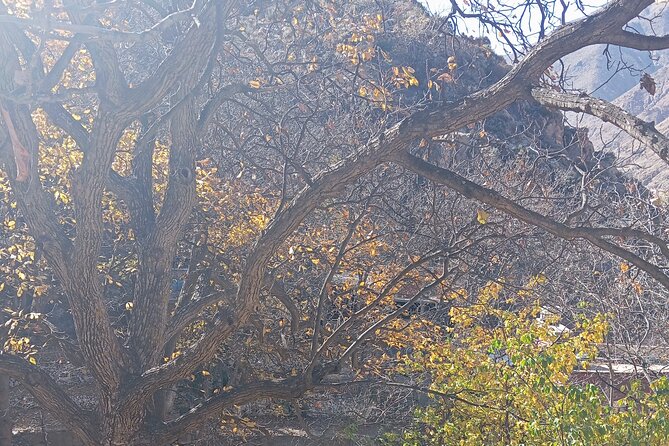 Day Trip to Ourika Valley From Marrakech - Inclusions and Highlights