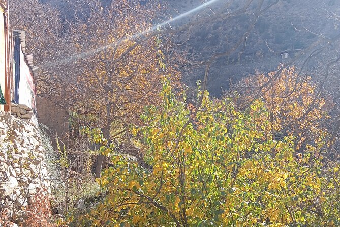 Day Trip to Ourika Valley From Marrakech - Meeting and Pickup Details