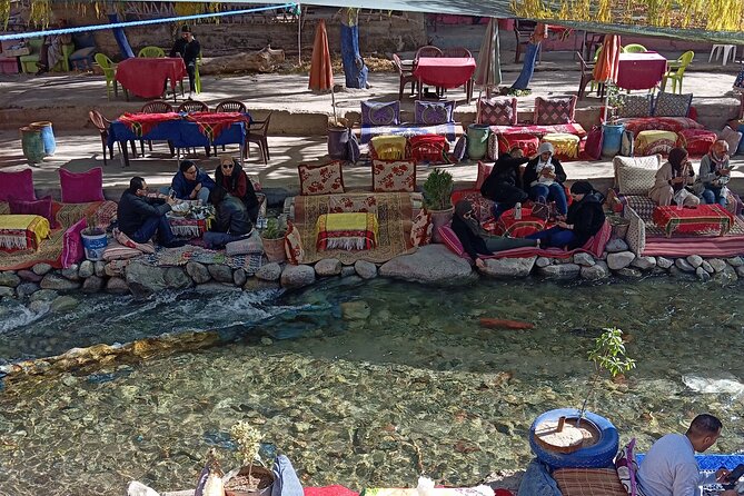 Day Trip to Ourika Valley From Marrakech - Customer Reviews and Feedback