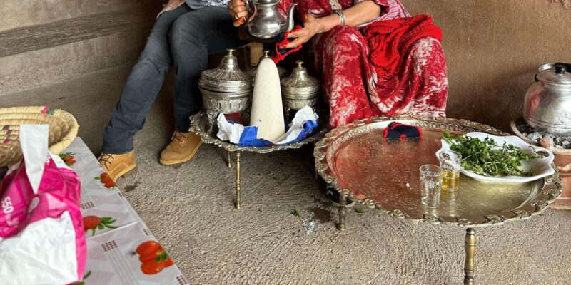 Day Trip to Ourika Valley From Marrakech - Experiencing Berber Traditions