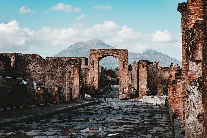 Day trip to Pompeii and Mount Vesuvius from Naples - Final Thoughts