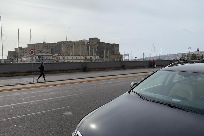 Day Trip to Pompeii and Naples Review - Private Transportation and Amenities