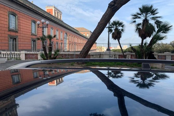 Day Trip to Pompeii and Naples Review - Pricing and Cancellation Policy