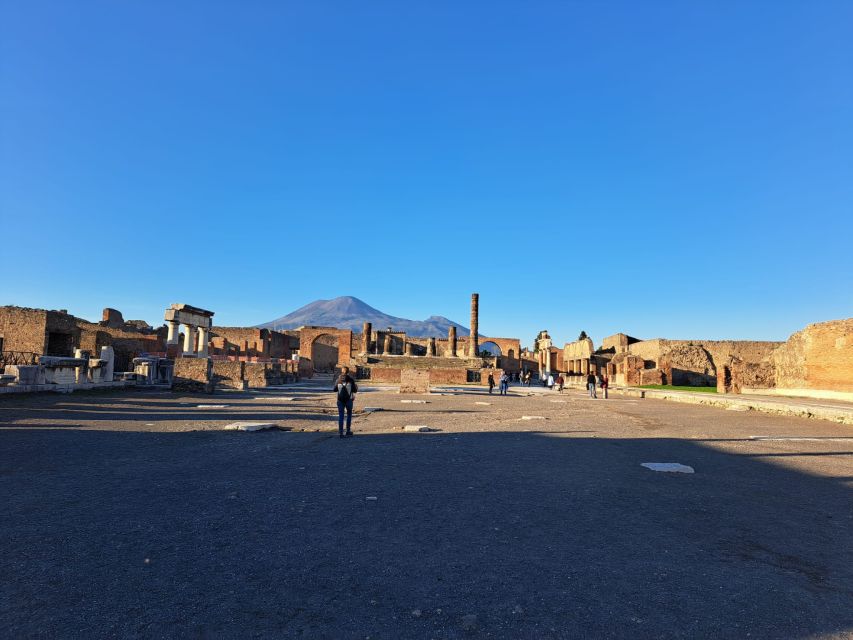 Day Trip to Pompeii & Vesuvius from Naples - Real Traveler Insights