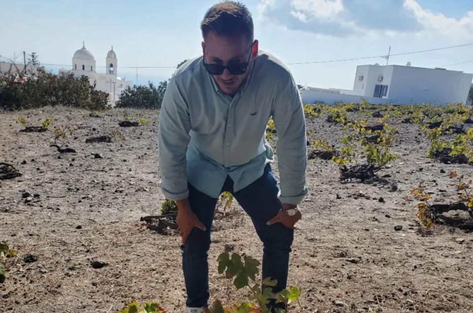 Day Trip to Santorini From Athens - Who Will Love This Tour?