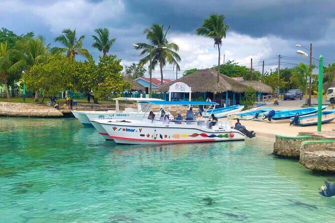 Day Trip to Saona Island with Lunch and Open Bar - An In-Depth Look at the Saona Island Day Trip