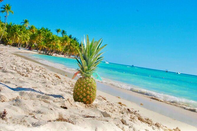 Day Trip to Saona Island with Lunch and Open Bar - The Sum Up